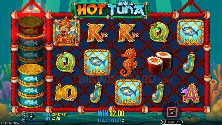 jilicc app Understanding Roulette Odds